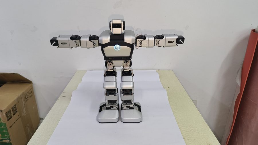 Humanoid Robot Debugging