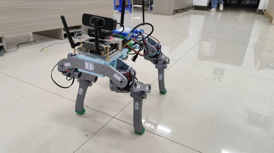 Quadruped Robot Debugging