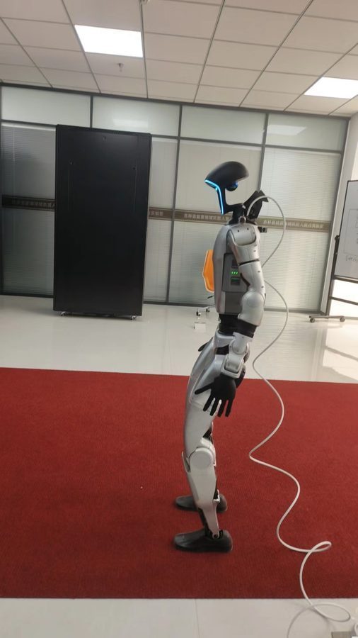 State Grid Humanoid Robot